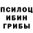 Галлюциногенные грибы мицелий Erzhan Ereke
