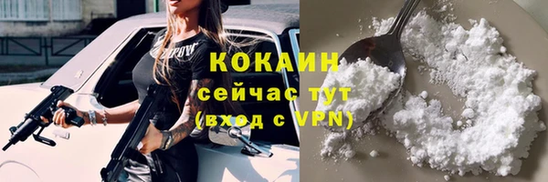 мяу мяу кристалл Гусь-Хрустальный