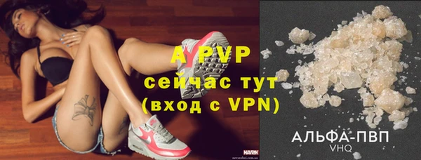 МДПВ Гусев