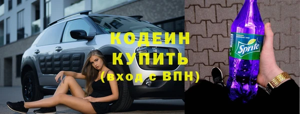 мяу мяу кристалл Гусь-Хрустальный