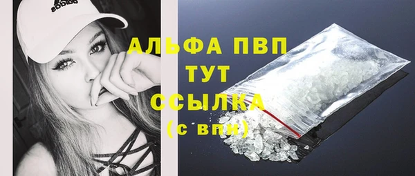 гидропоника Гусиноозёрск