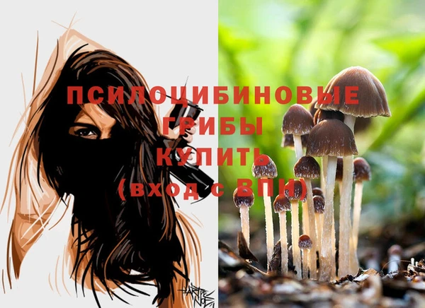 гидропоника Гусиноозёрск