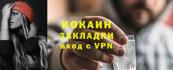 МДПВ Гусев