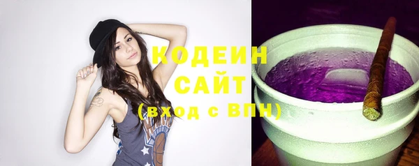 мяу мяу кристалл Гусь-Хрустальный