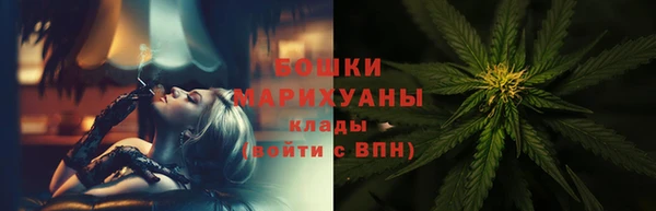 гидропоника Гусиноозёрск