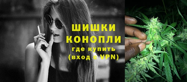 МДПВ Гусев