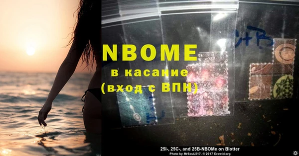 гидропоника Гусиноозёрск